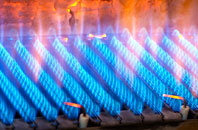 Curling Tye Green gas fired boilers